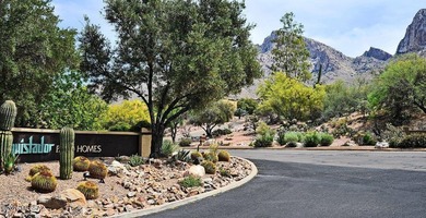 Oro Valley! Beautiful El Conquistator Resort 3BR/2BA patio home - photo 46