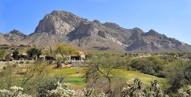 Oro Valley! Beautiful El Conquistator Resort 3BR/2BA patio home - photo 47