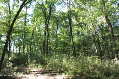 Lake Acreage For Sale in Hernando, Mississippi