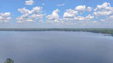 Amazing opportunity to own this property on Round Lake with 100 - photo 47