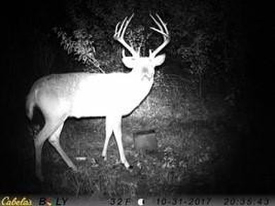 (private lake, pond, creek) Acreage Sale Pending in Rantoul Kansas