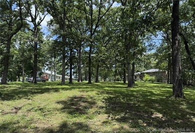 Great building lot in Warsaw! Nice big, shaded corner lot, just - photo 4