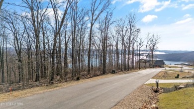 Lake Acreage For Sale in Rockwood, Tennessee