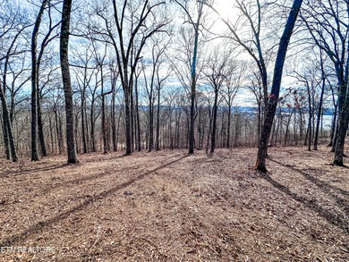 Build your dream home with lake and mountain views! Discover the - photo 3