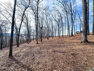 Build your dream home with lake and mountain views! Discover the - photo 4