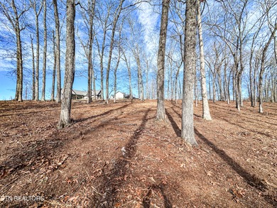 Build your dream home with lake and mountain views! Discover the - photo 5