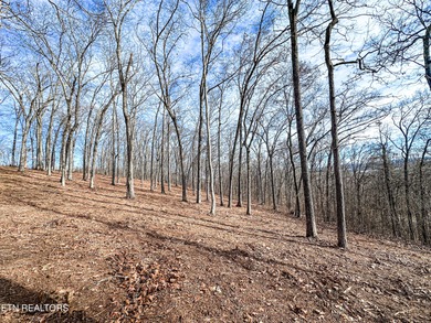 Build your dream home with lake and mountain views! Discover the - photo 6