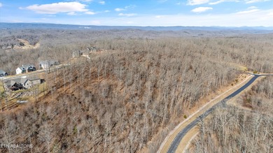 Build your dream home with lake and mountain views! Discover the - photo 8