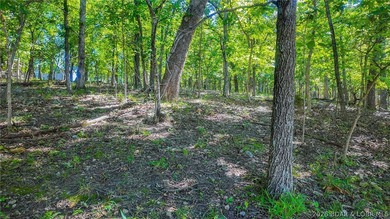 Embrace a fresh opportunity to build your dream retreat on Lot - photo 4