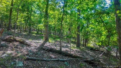 Embrace a fresh opportunity to build your dream retreat on Lot - photo 6