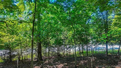 Embrace a fresh opportunity to build your dream retreat on Lot - photo 7