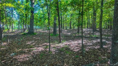 Embrace a fresh opportunity to build your dream retreat on Lot - photo 9