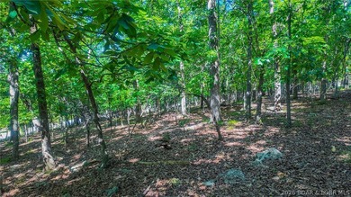 Embrace a fresh opportunity to build your dream retreat on Lot - photo 10