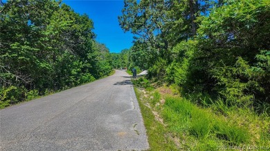 Build your dream home on Champion Drive! Discover the perfect - photo 1