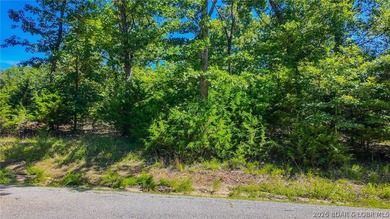 Build your dream home on Champion Drive! Discover the perfect - photo 2