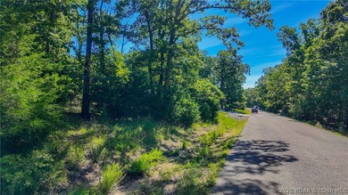 Build your dream home on Champion Drive! Discover the perfect - photo 3