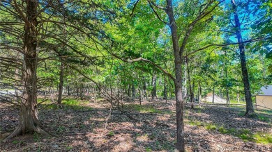 Build your dream home on Champion Drive! Discover the perfect - photo 4