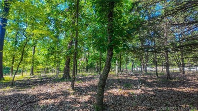 Build your dream home on Champion Drive! Discover the perfect - photo 5