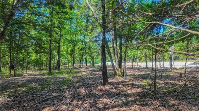 Build your dream home on Champion Drive! Discover the perfect - photo 6