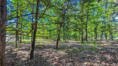 Build your dream home on Champion Drive! Discover the perfect - photo 7