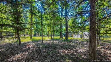 Build your dream home on Champion Drive! Discover the perfect - photo 8