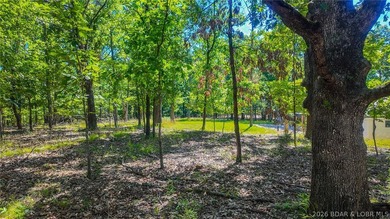 Build your dream home on Champion Drive! Discover the perfect - photo 10