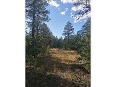 Ramah Reservoir Acreage For Sale in Ramah New Mexico