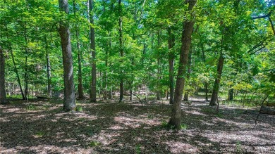 Build your dream home on Champion Court! Discover the perfect - photo 4