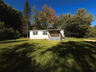 Lake Home For Sale in Linesville, Pennsylvania