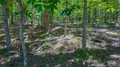Build your dream home on Muirfield Drive! Discover the perfect - photo 5