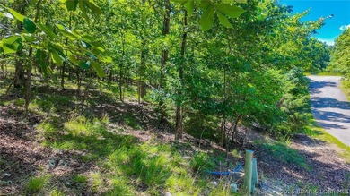 Build your dream home on Muirfield Drive! Discover the perfect - photo 6