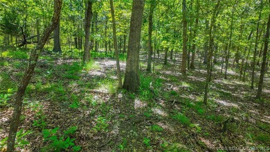 Build your dream home on Muirfield Drive! Discover the perfect - photo 7