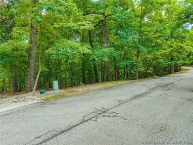 Embrace the ultimate lakefront lifestyle at Porto Cima on this - photo 5