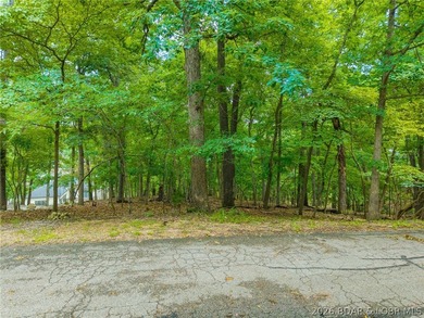 Embrace the ultimate lakefront lifestyle at Porto Cima on this - photo 6
