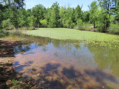 This beautiful 34.79 m/l acres mountain property is located in - photo 23