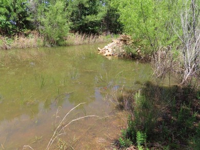 This beautiful 34.79 m/l acres mountain property is located in - photo 25