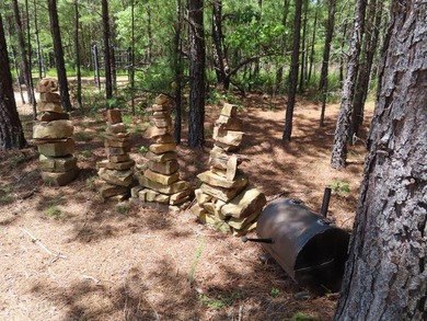 This beautiful 34.79 m/l acres mountain property is located in - photo 27