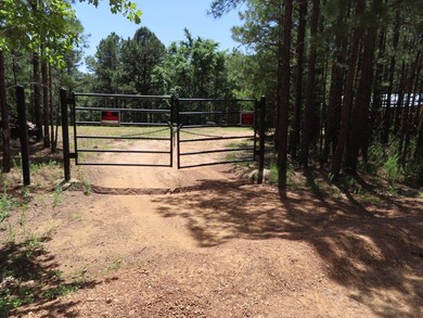 This beautiful 34.79 m/l acres mountain property is located in - photo 29