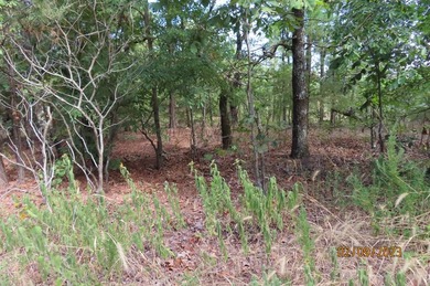 This beautiful 34.79 m/l acres mountain property is located in - photo 30
