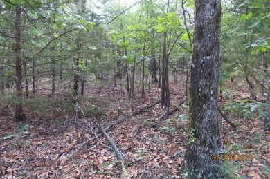 This beautiful 34.79 m/l acres mountain property is located in - photo 31