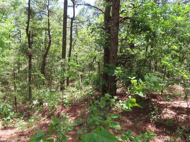 This beautiful 34.79 m/l acres mountain property is located in - photo 32