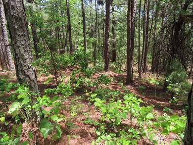 This beautiful 34.79 m/l acres mountain property is located in - photo 33