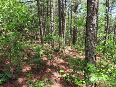 This beautiful 34.79 m/l acres mountain property is located in - photo 34