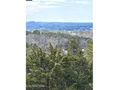 Sellers are ready to entertain your offers! Lake views and - photo 35