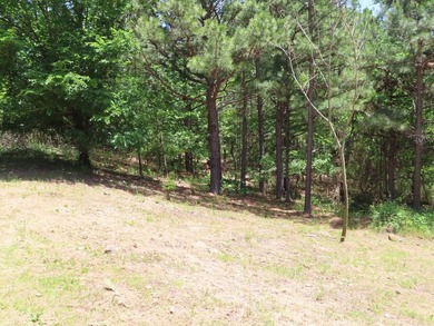This beautiful 34.79 m/l acres mountain property is located in - photo 35