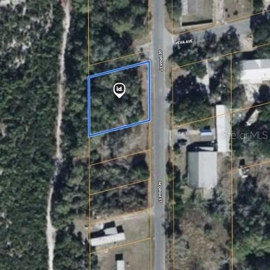 Lake Kathryn - Lake County Lot For Sale in Paisley Florida