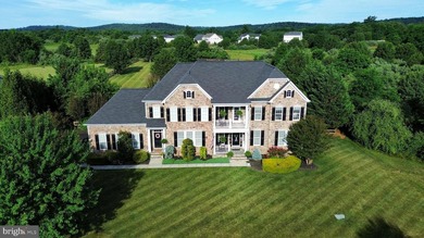 Rare opportunity in Raspberry Falls - only the second home - photo 11