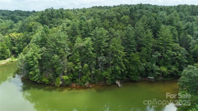 Lake Acreage For Sale in Marion, North Carolina