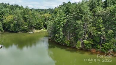 Rare 11.45 Acres on Lake James - Private Cove & Development - photo 3