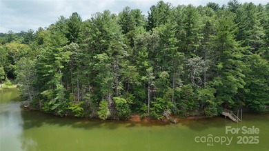 Rare 11.45 Acres on Lake James - Private Cove & Development - photo 4
